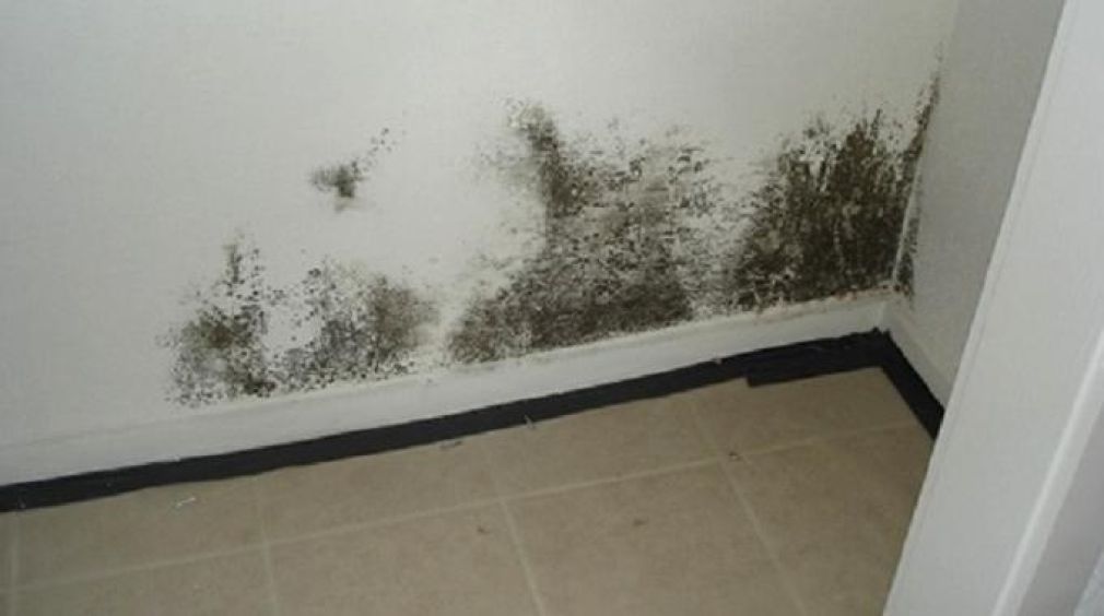 L&#039;Astuce efficace pour enlever la moisissure sur les murs